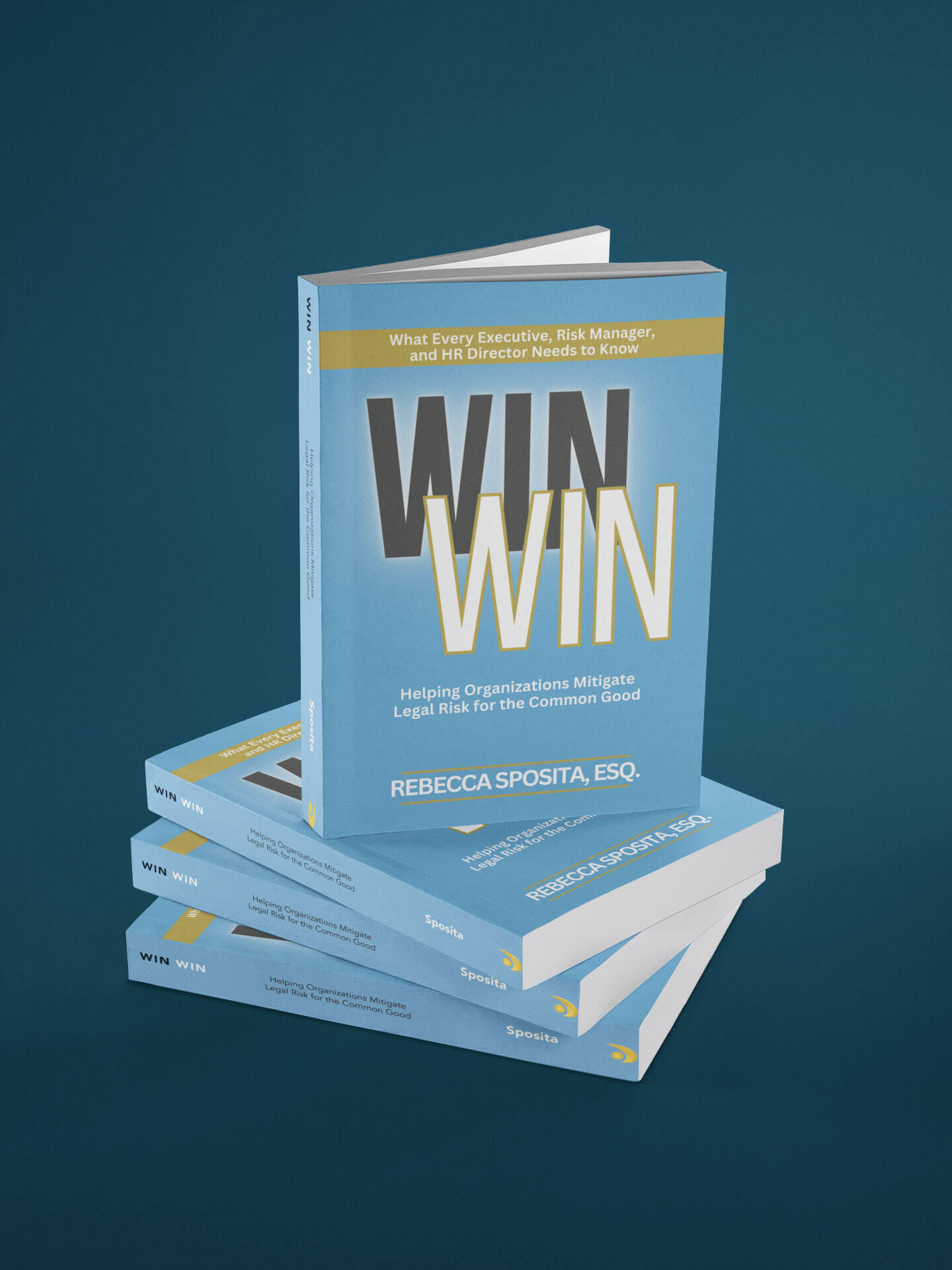 Win Win: Helping Organizations Mitigate Legal Risks For The Common Good (10 Paperback Bundle)