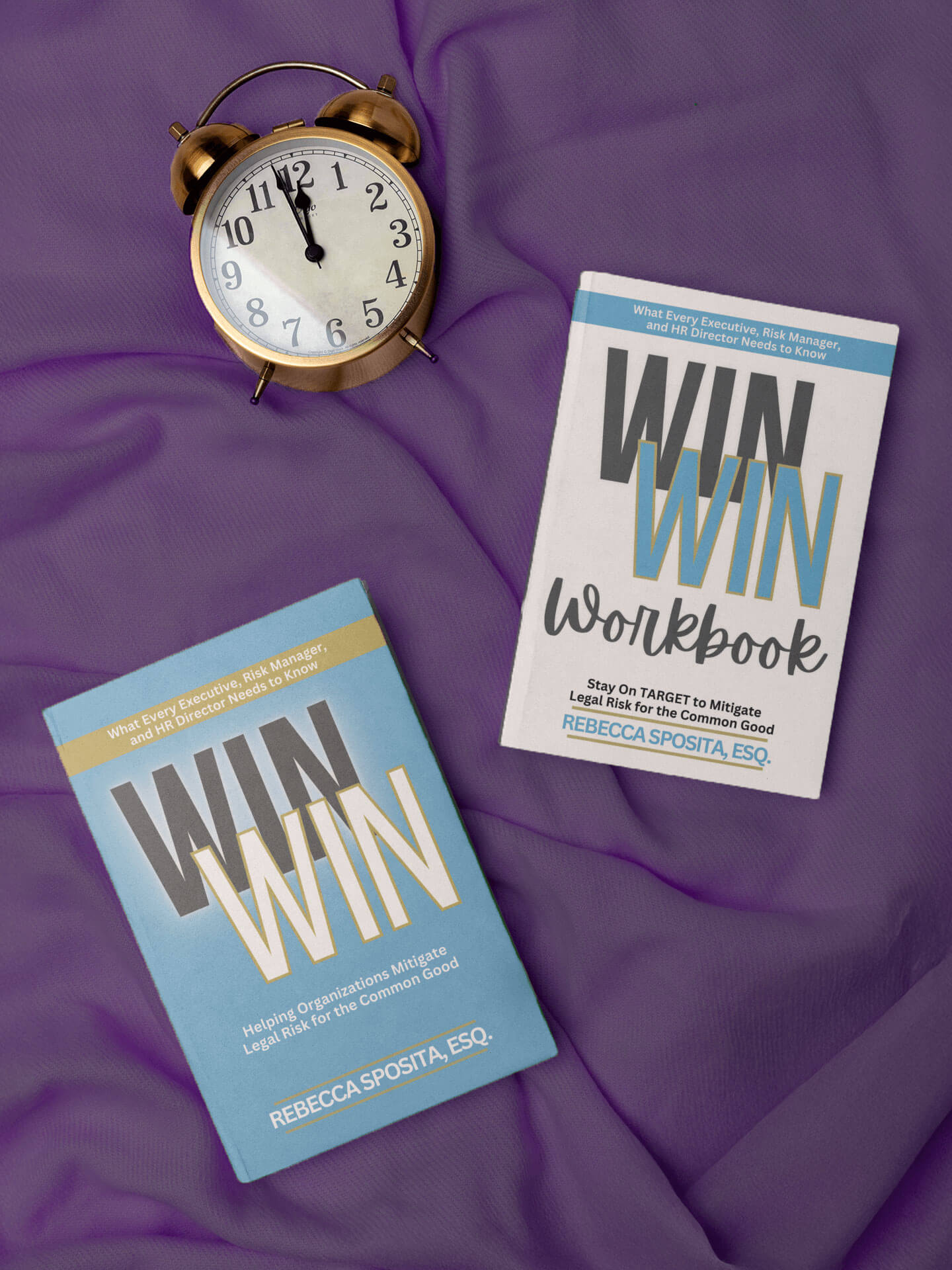 Win Win: Helping Organizations Mitigate Legal Risks For The Common Good Bundle (Paperback + Workbook)