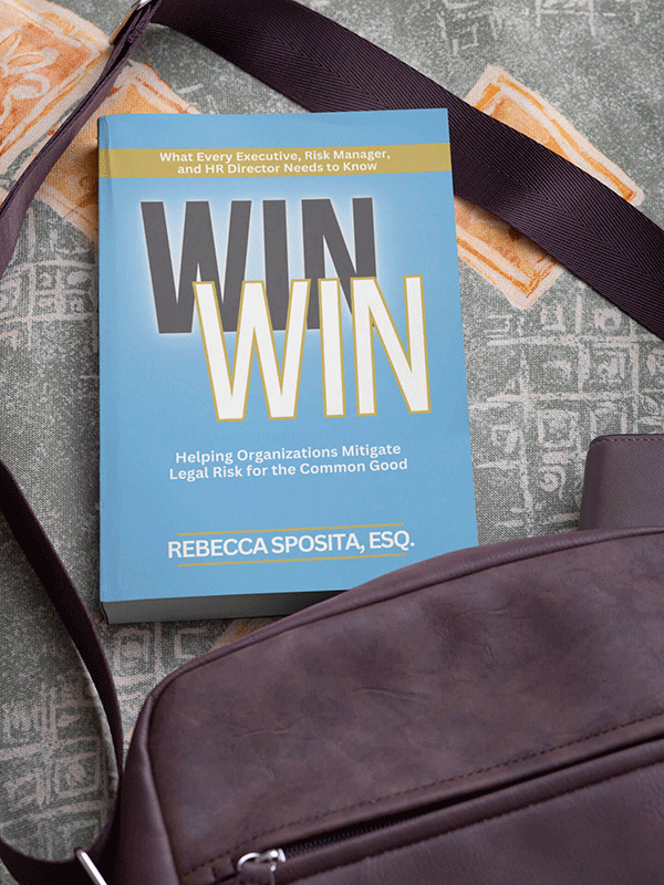 Win Win: Helping Organizations Mitigate Legal Risks For The Common Good Bundle (Paperback + Workbook) - Image 3