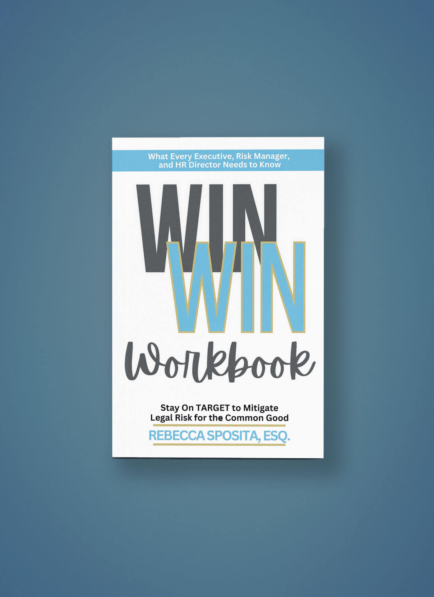 Win Win: Helping Organizations Mitigate Legal Risks For The Common Good ( Workbook )