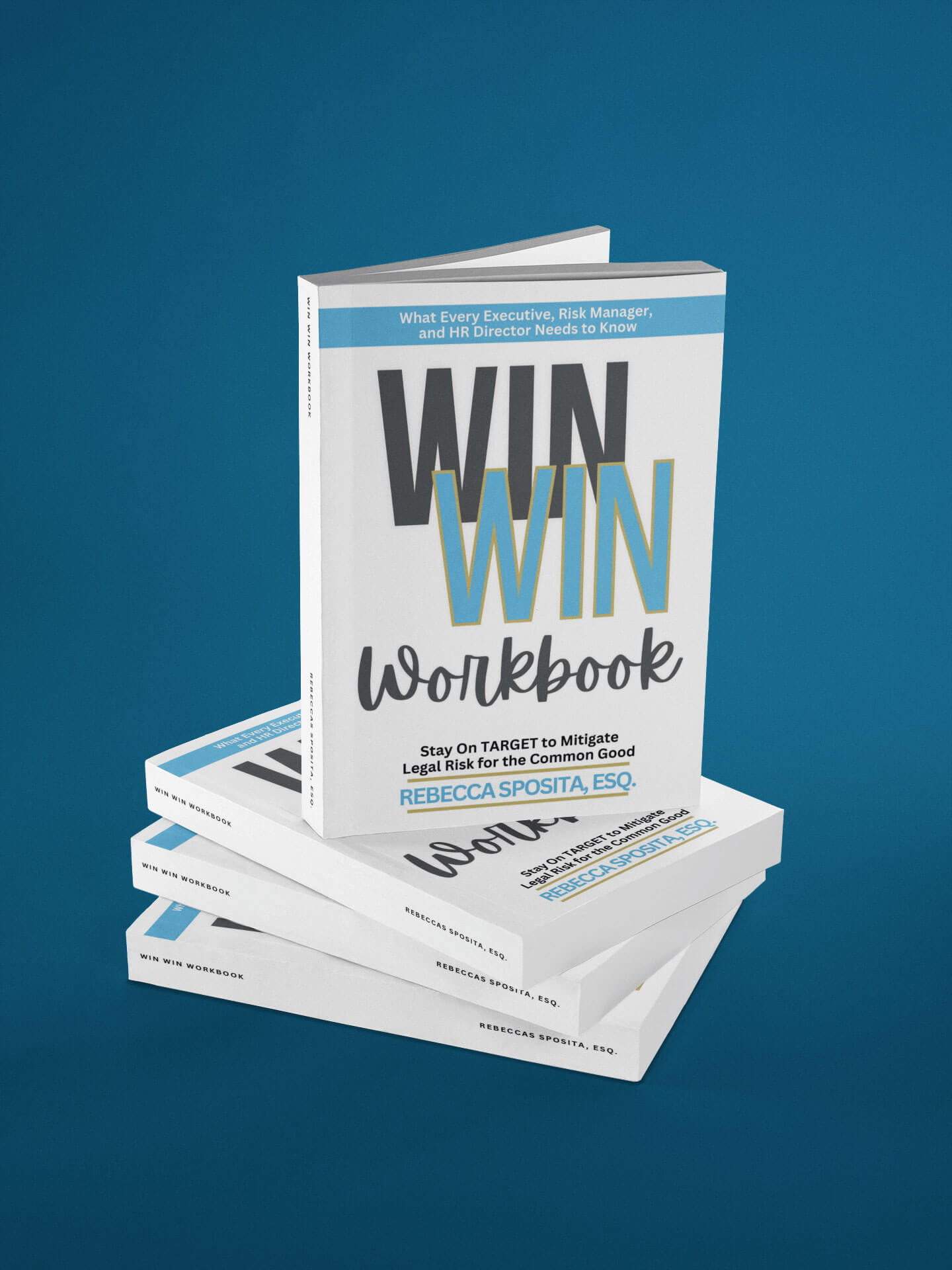 Win Win: Helping Organizations Mitigate Legal Risks For The Common Good (10 Workbook Bundle)